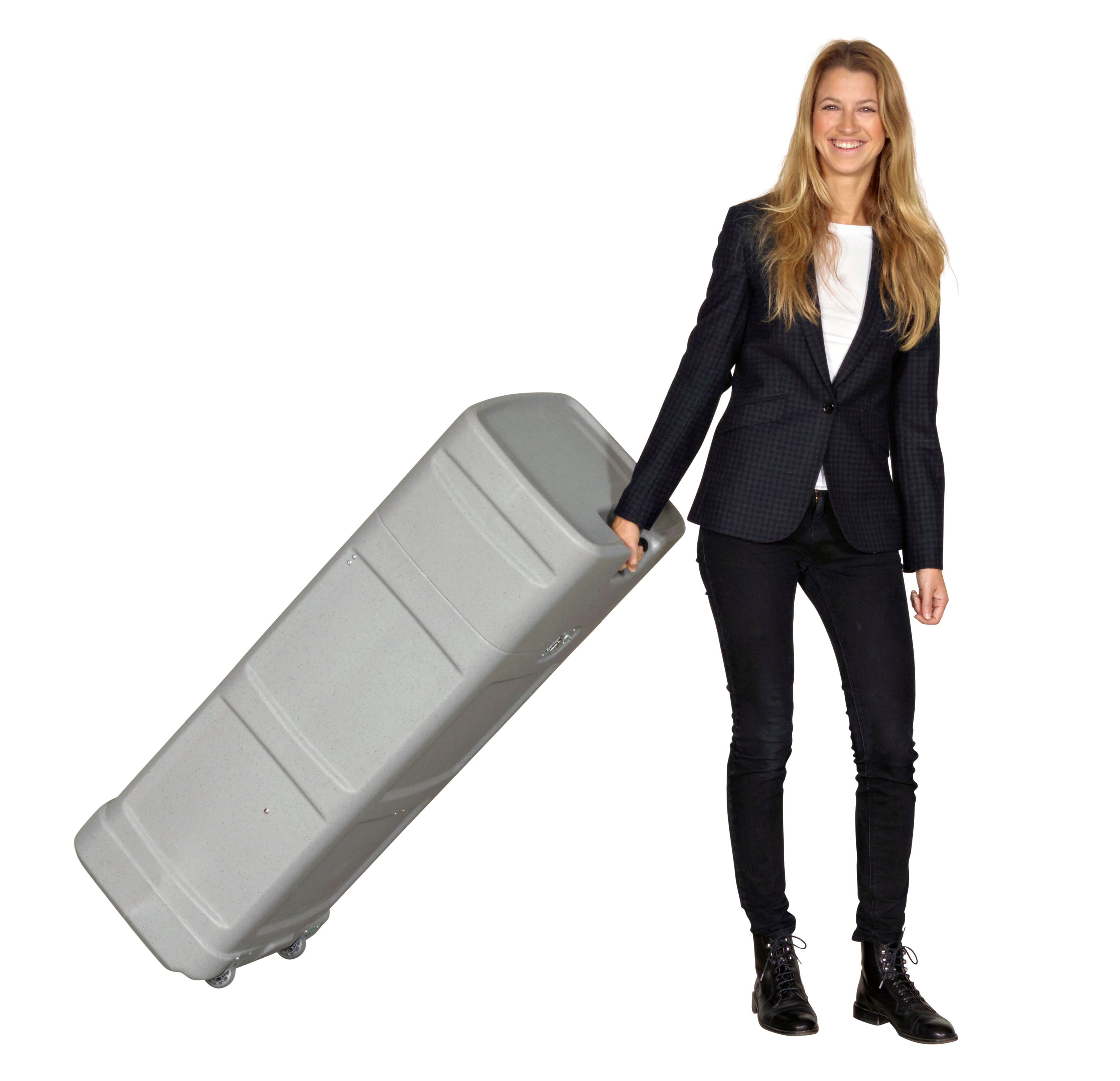 Standard Case System (Banner)